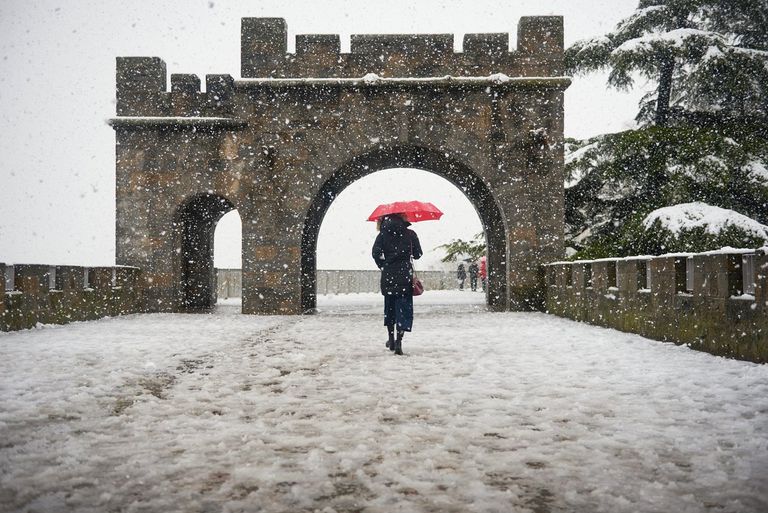 العاصفة جيرار تسببت في سقوط الأشجار
