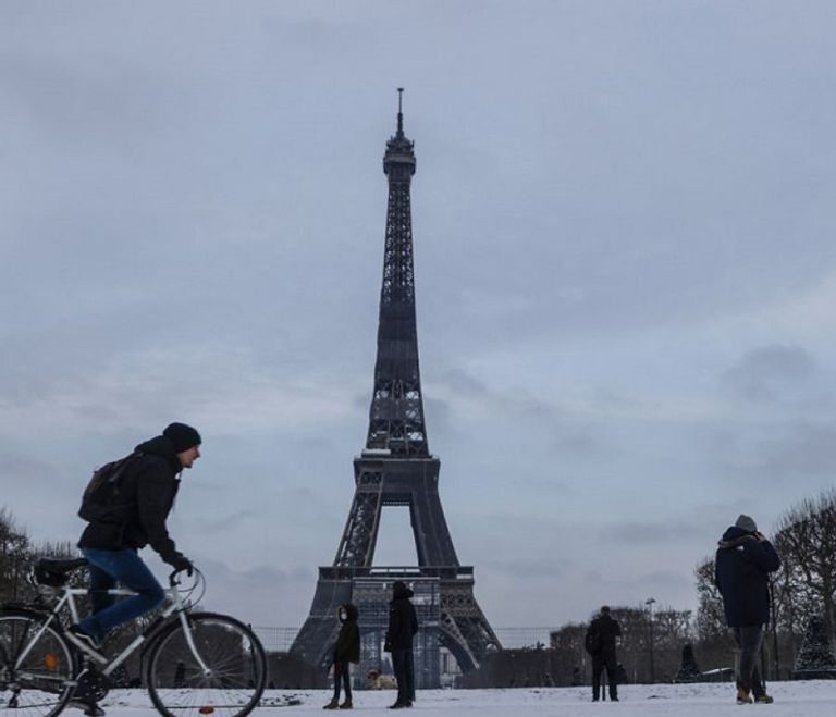 العاصفة جيرار تسببت في سقوط الأشجار