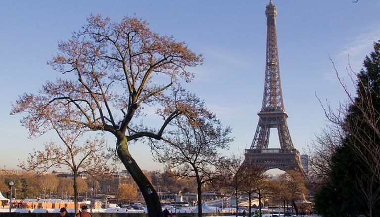 العاصفة جيرار تسببت في سقوط الأشجار