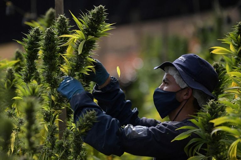 بابلو إسكوبار