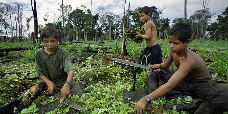 بابلو إسكوبار