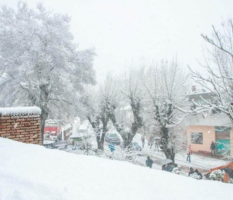 مرتفعات الشمال الغربي التونسي