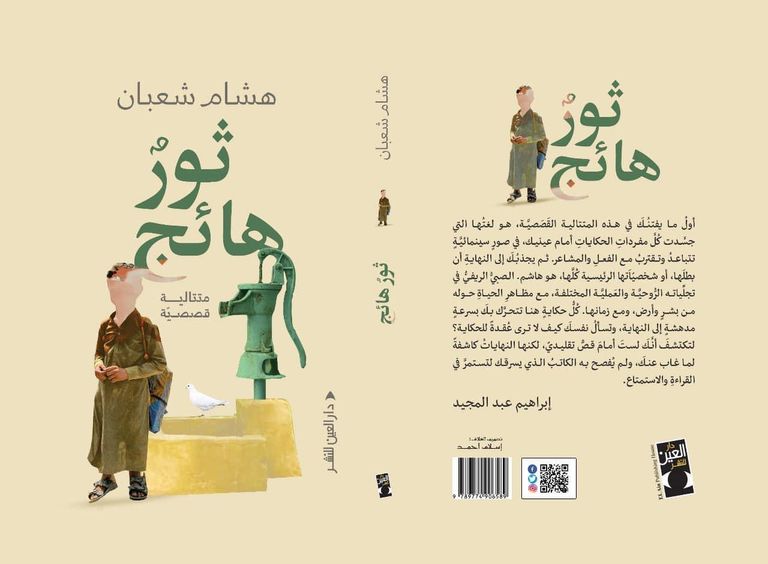 الكاتب هشام شعبان