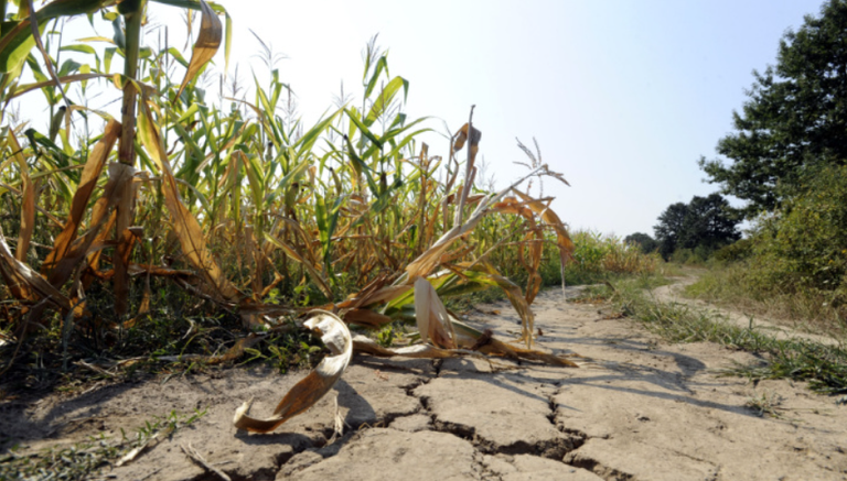 الخبراء يتوقعون موجة حر غير مسبوقة (أرشيفية) في 2023