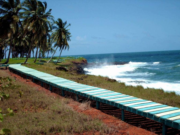 جزيرة  "إجوانا"