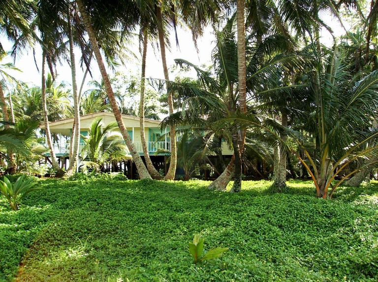 جزيرة  "إجوانا"