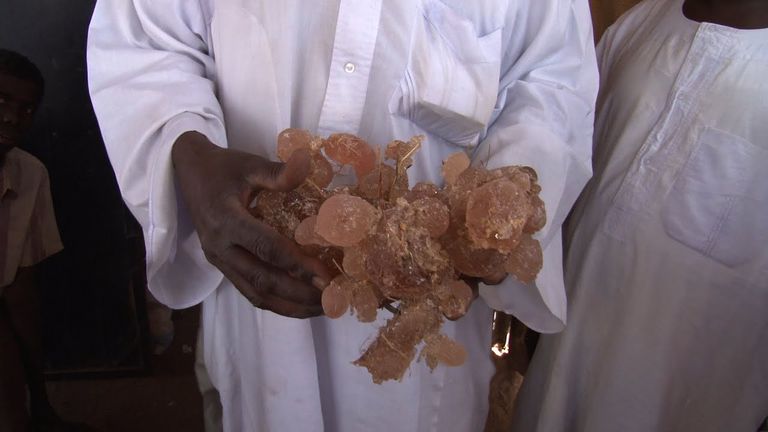 منتجو الصمغ العربي في السودان يتمسكون بزراعته رغم التحديات