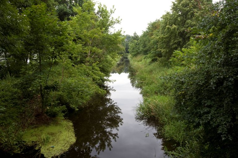 غابة بيالويزا في أوروبا - رويترز حريق في غابة بالولايات المتحدة - رويترز