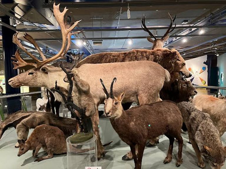 متحف "Thinktank" للعلوم أحد أماكن السياحة في برمنجهام السياحة في برمنجهام …5 أماكن سياحية أبرزها حي المجوهرات