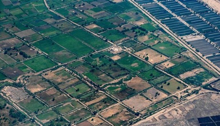 منظر جوي لأراضي زراعية في مصر- أرشيف