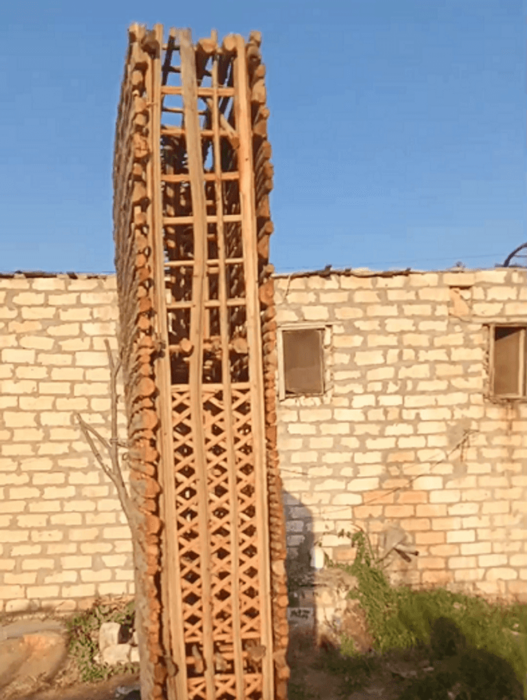 تقليم كل نخلة سنويا ينتج كمية من الجريد تقدر بـ20 جريدة على الأقل