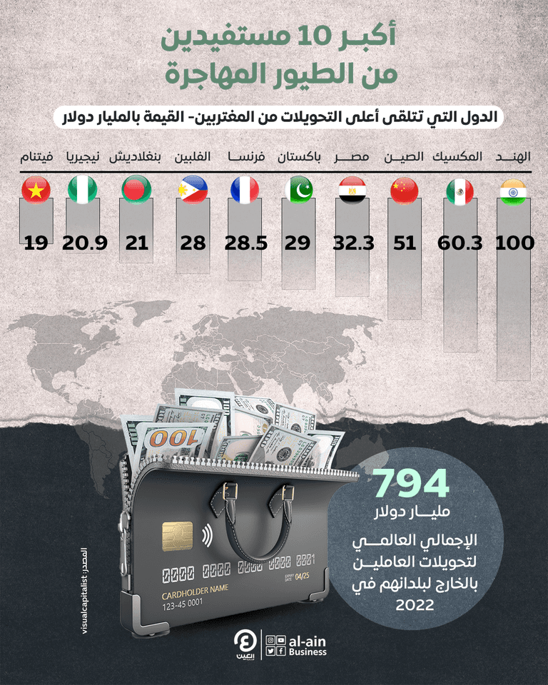 "الطيور المهاجرة" تحمل الذهب لبلادها.. 794 مليار دولار في 2022
