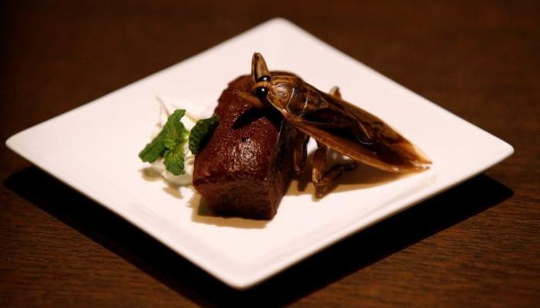 أوروبا اعتمدت قوانين تتيح إضافة الحشرات للأطعمة