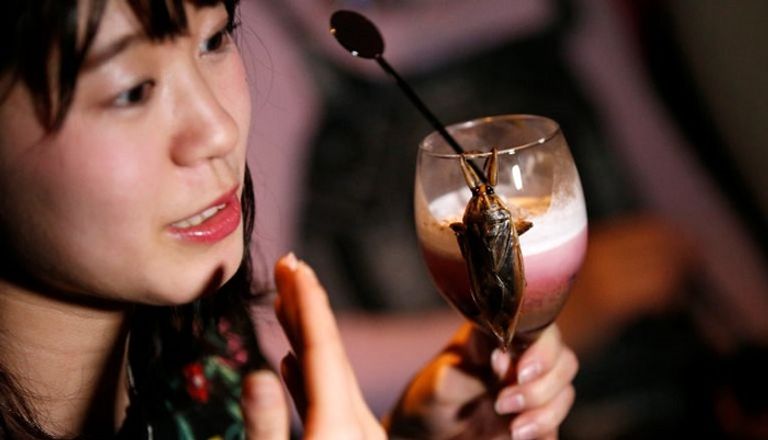 أوروبا اعتمدت قوانين تتيح إضافة الحشرات للأطعمة