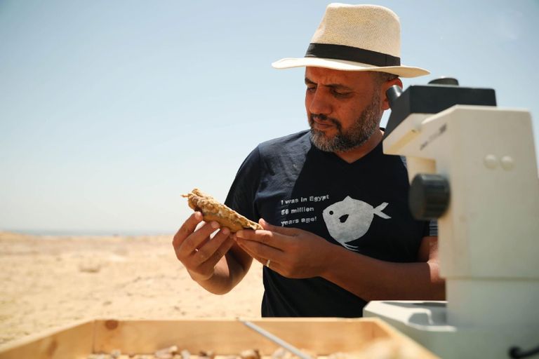 الدكتور هشام سلام