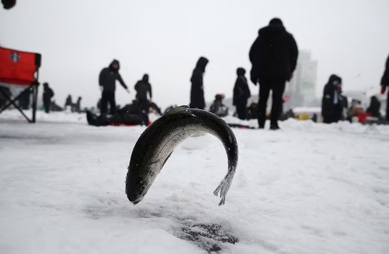مهرجان الصيد من فتحات الجليد مهرجان الصيد من فتحات الجليد