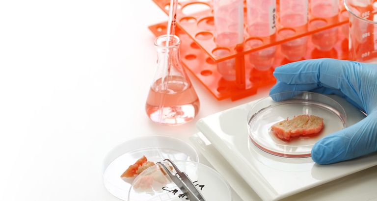 استزراع اللحوم يثير جدلًا في مصر - أرشيفية