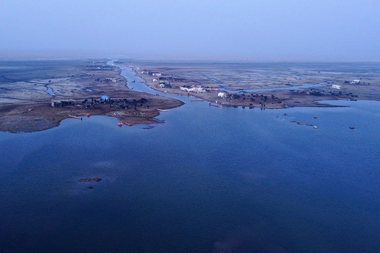 انتعاش الحياة في أهوار العراق بفضل الأمطار الشتوية