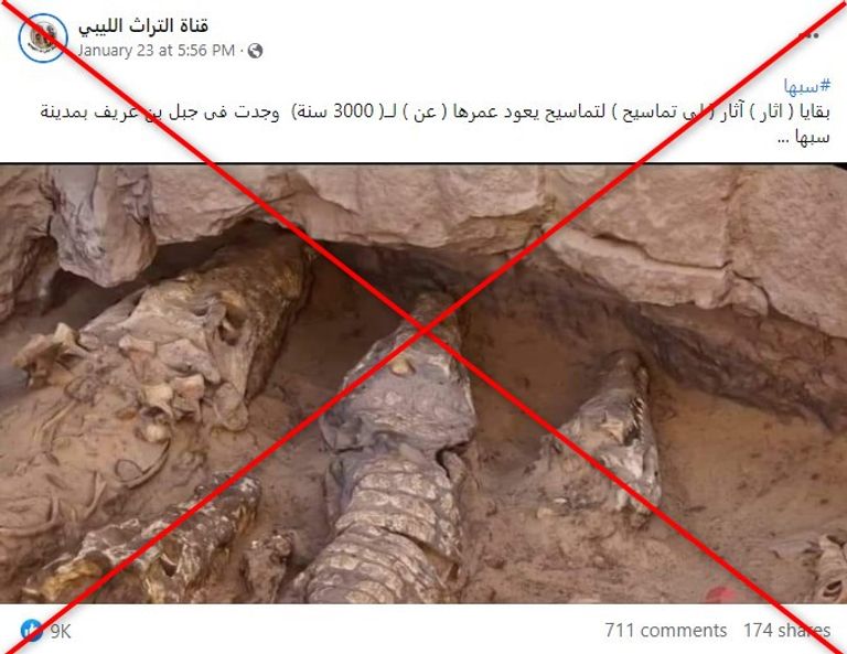 التماسيح المُحنطة