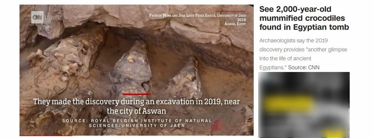 التماسيح المُحنطة