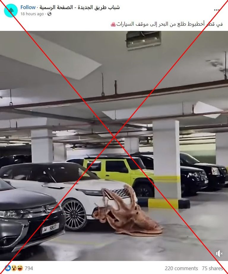 لقطة من الفيديو