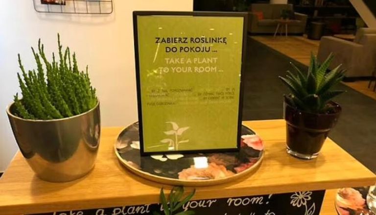 فندق في بولندا يوزع الزرع الأخضر هدية على النزلاء
