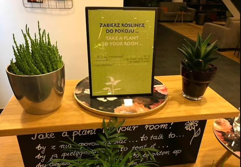 فندق في بولندا يوزع الزرع الأخضر هدية على النزلاء