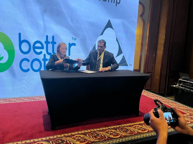 محصول القطن ضمن برنامج القطن الأفضل