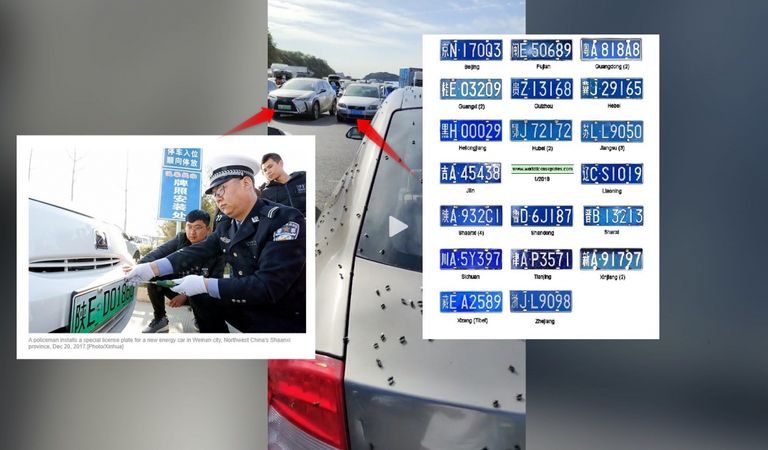 صورة من الفيديو تظهر الذباب الذي يغطي سيارة في الصين