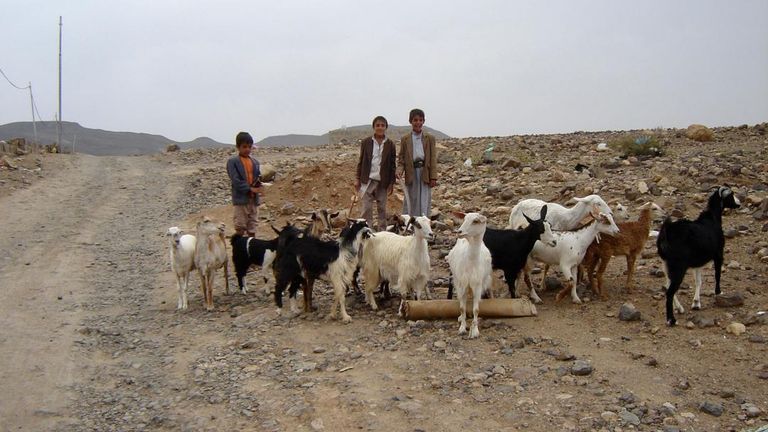 الجفاف في اليمن