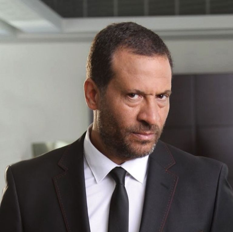 الفنان ماجد المصري