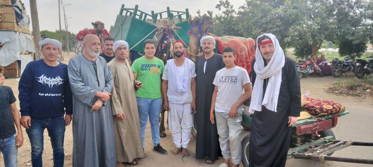 موكب الجمال للسيد البدوي