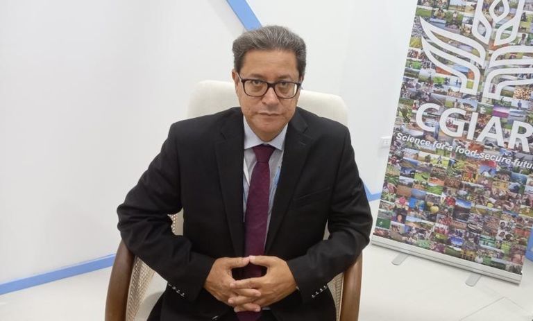 المهندس علي أبو سبع، المدير العام للإيكاردا  الخبز المدعم بالشعير ينتظر التطبيق