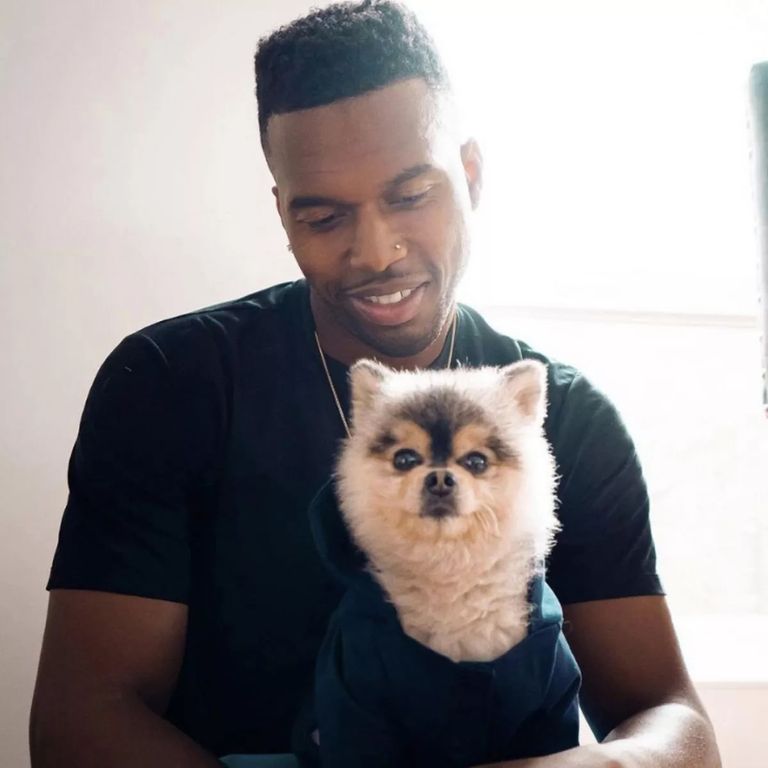 كلب دانييل ستوريدج