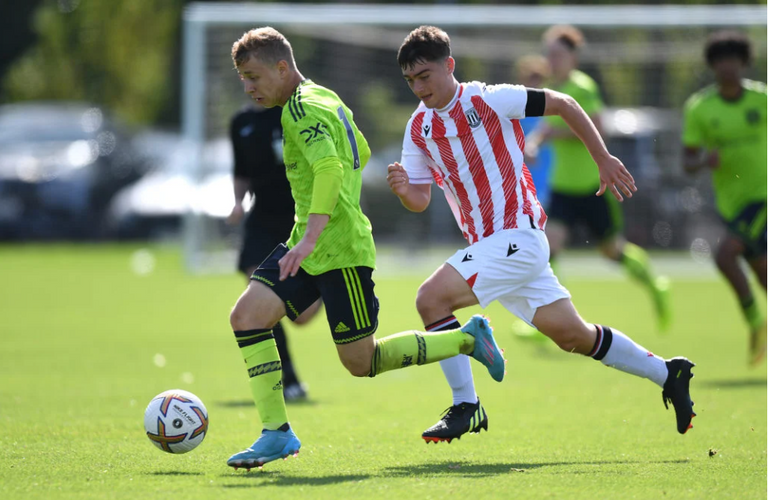 أمير إبراغيموفيتش