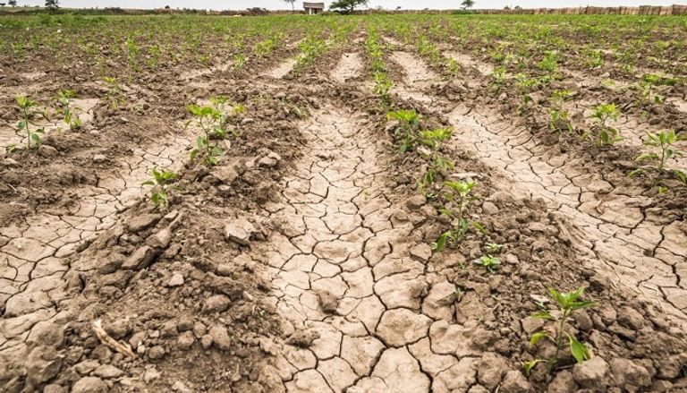 الكوارث تفاقم مخاطر الجوع حول العالم