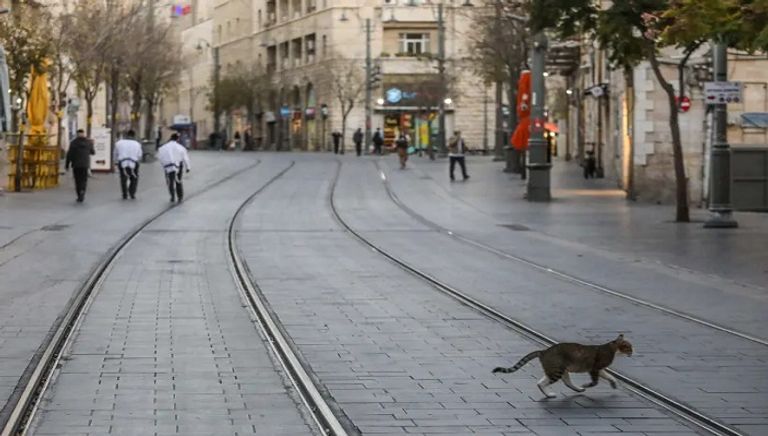 أحد الشوارع في إسرائيل وقد بدا شبه فارغ من المارة