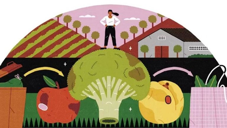 7 نصائح خضراء لتقليل هدر الطعام دولة الإمارات ملتزمة بالحد من فقد الغذاء وهدره بنسبة 50% بحلول 2030