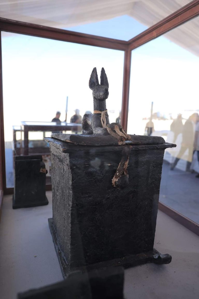 جزء من اكتشافات مقبرة كهنة الدولة الحديثة بالمنيا