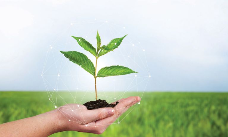 الابتكار الزراعي للمناخ في دولة الإمارات الإمارات تقود جهود تأسيس منظومة دولية مستدامة لإنتاج الغذاء