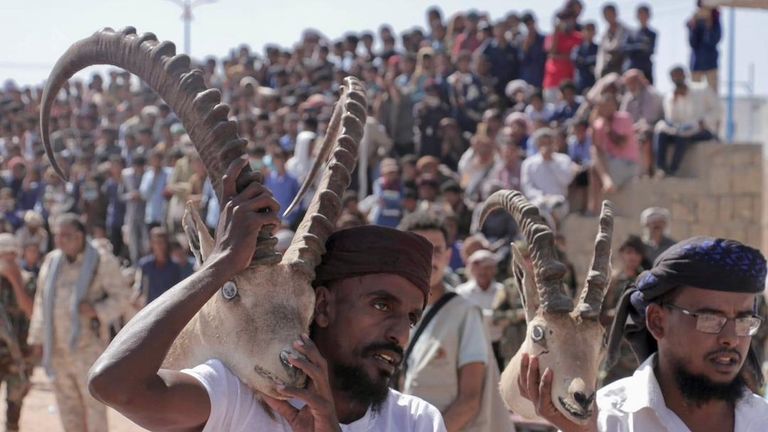 شبوة اليمنية تستعرض إرثها الحضاري 