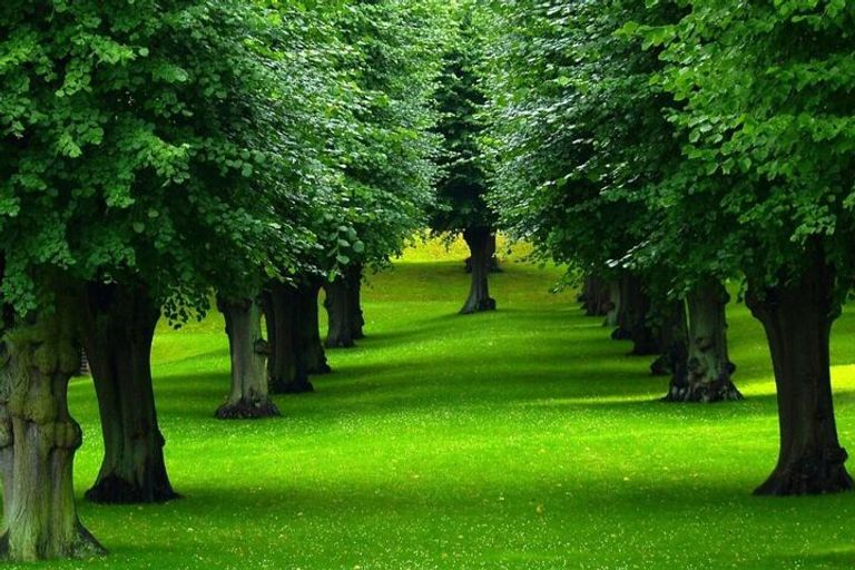 مصر تواجه تغير المناخ بمبادرات شعبية وحكومية مبتكرة