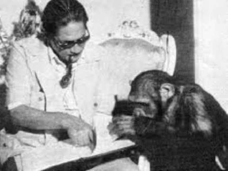 المخرج المصري الشهير نيازي مصطفى