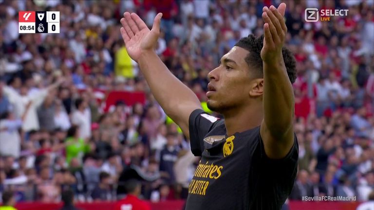 بيلينغهام الحكم وجود بيلينغهام