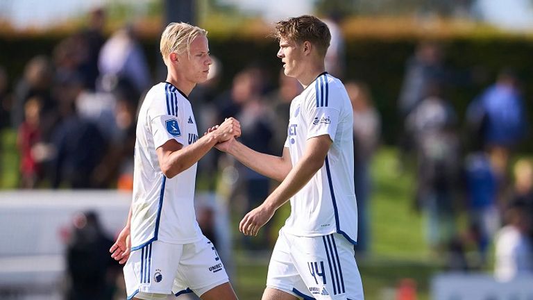 إيميل وأوسكار هويليند 