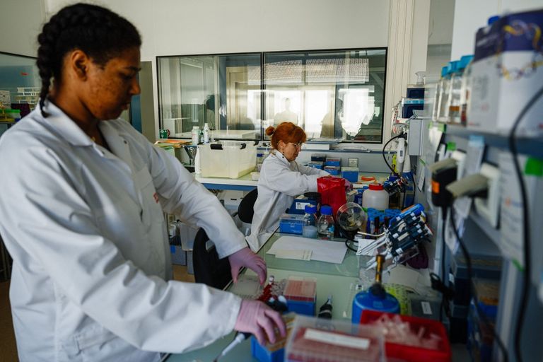 إنتاج بروتينات حليب أو بيض من دون استخدام الحيوانات