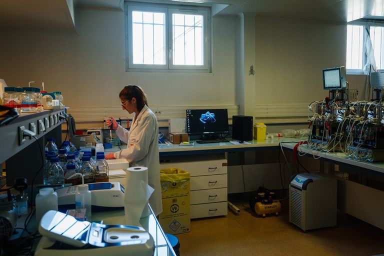 إنتاج بروتينات حليب أو بيض من دون استخدام الحيوانات