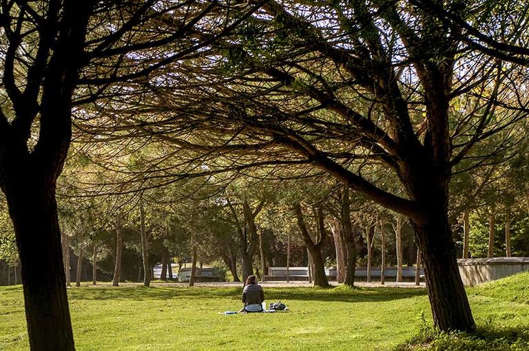 حديقة "Cidade " أحد أفضل أماكن السياحة في بورتو السياحة في بورتو