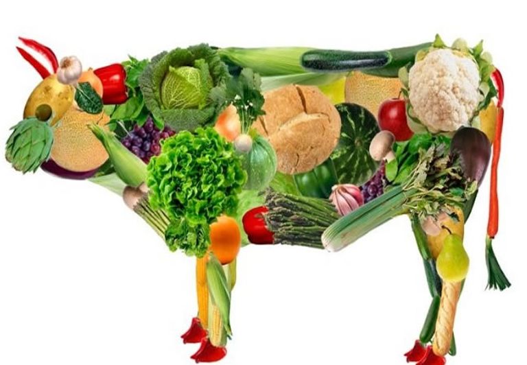 تغير المناخ والغذاء.. خطر مضاعف وتأثير متبادل