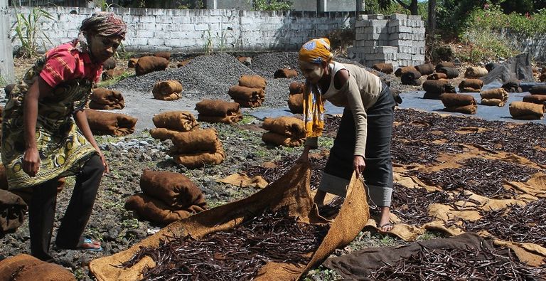 تعزيز القدرة على التكيف والمرونة مع تغير المناخ في جزر القمر سبيل للبقاء على قيد الحياة مزارع بجزر القمر يشير إلى بعض أشجار الموز في قرى أنجوان